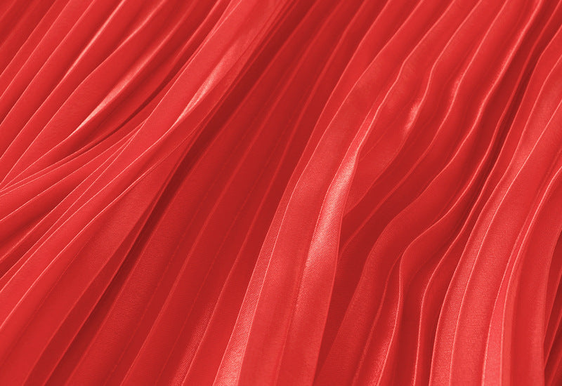 Floral Applique Pleated Skirt