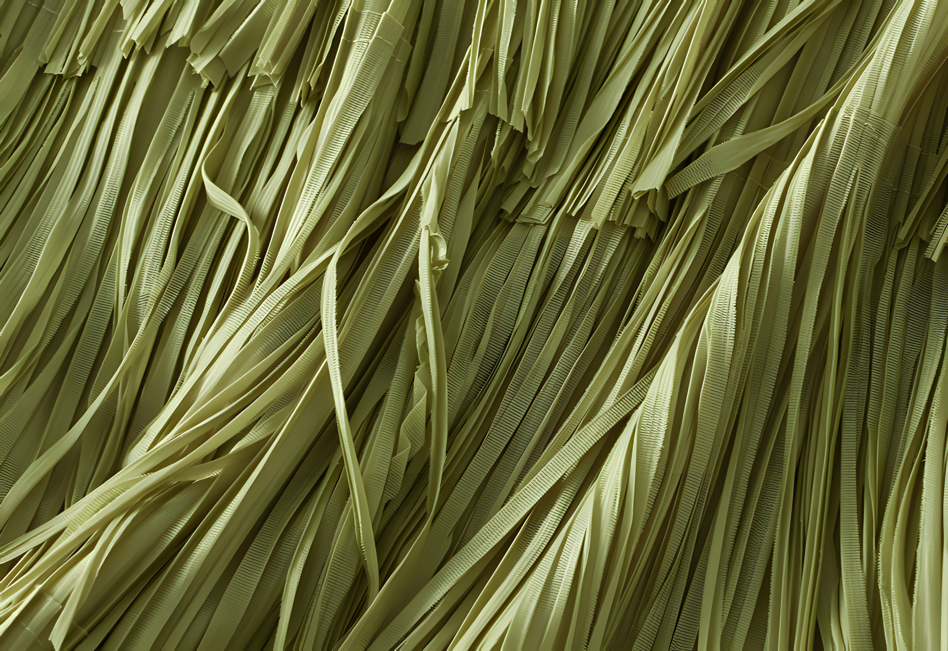 Multilayer Tassel Designer Skirt - 0666_GRASS GREEN