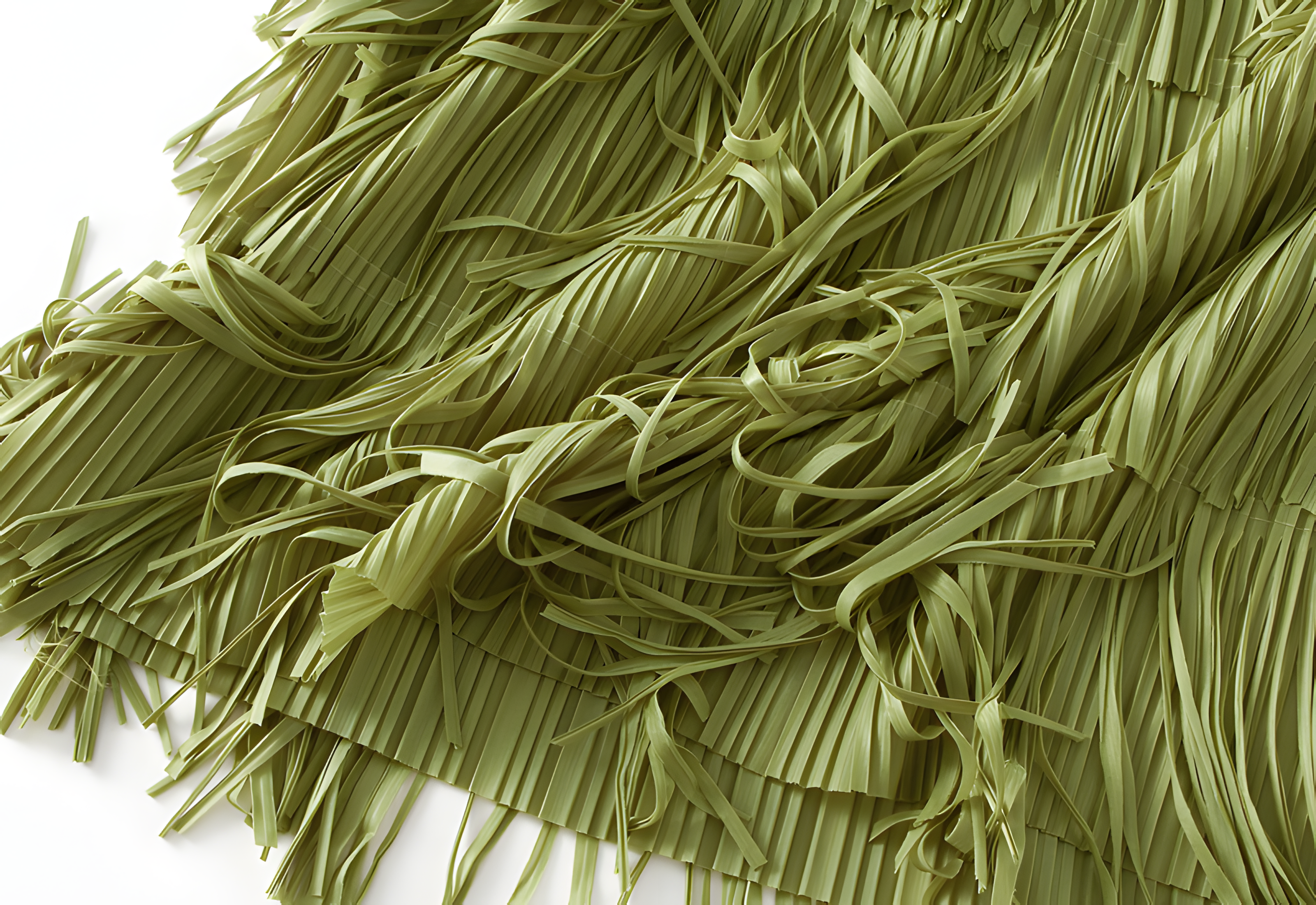 Multilayer Tassel Designer Skirt - 0666_GRASS GREEN