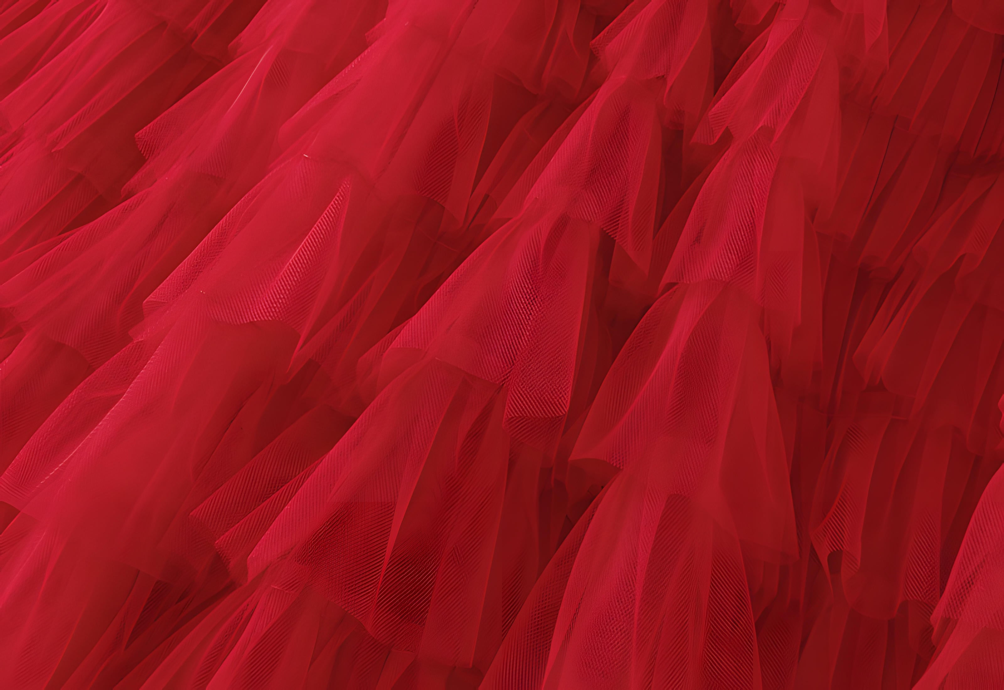 Heavy Mesh Gauze Multilayer Long Skirt With Satin Lining - 2210_SCARLET